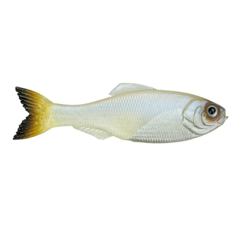 6th Sense Panorama 3.5″ (6 Pk) 3.5″ 4K Shad