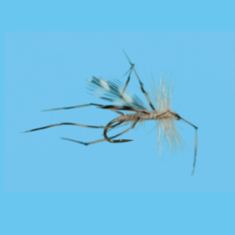 Solitude Crane Fly 10