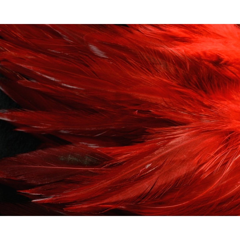 Hareline Wooly Bugger Saddle Hackle 6-7 inch Blood Red 0.25 oz