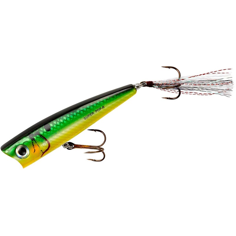 Rebel Super Pop-R 3 1/8 inch Topwater Popper Baby Bass