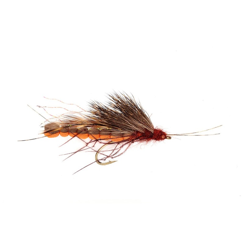 Mcphail Adult Salmonfly #8