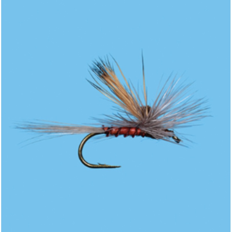 Solitude Tiltwing Mahogany 14