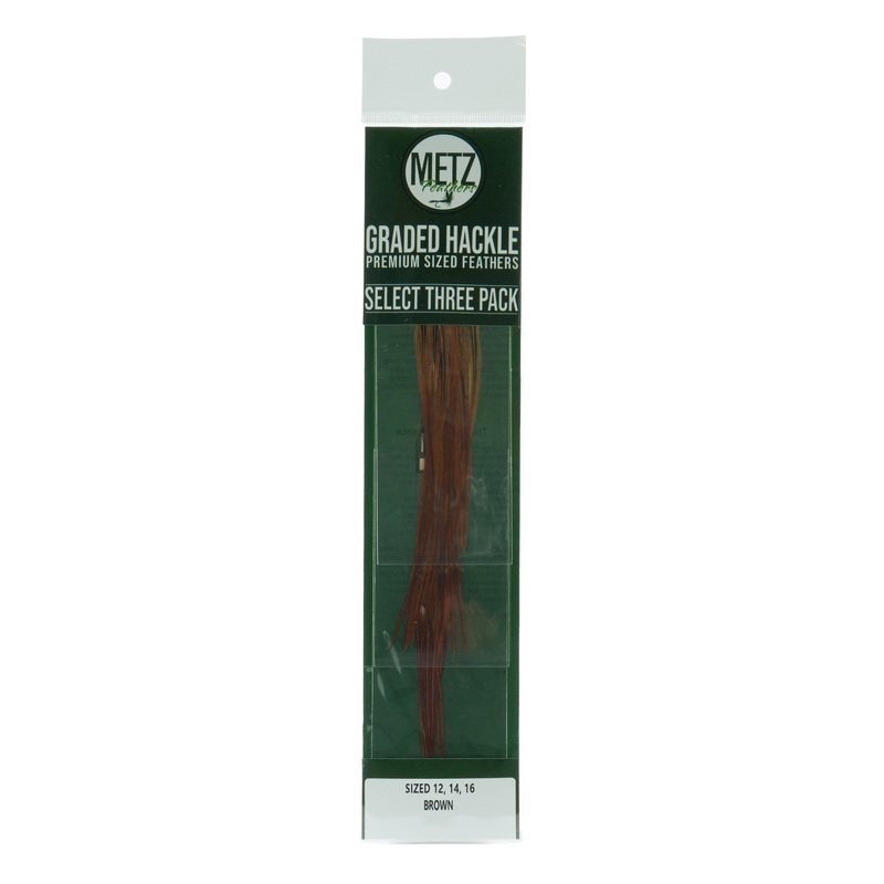 Metz Hackle Select 3PK Brown 12 14 16