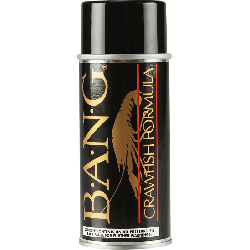 BANG Aerosol Spray Fish Attractant 5oz. Anise