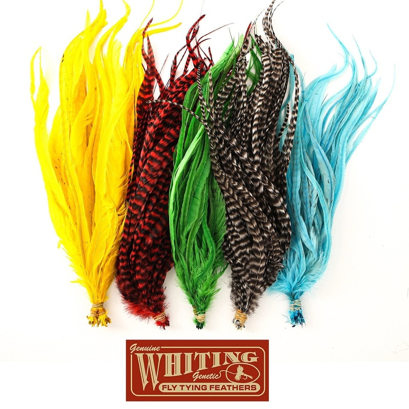 Whiting Farms Schlappen Feathers 10″ to 14″ Grizzly Shell Pink