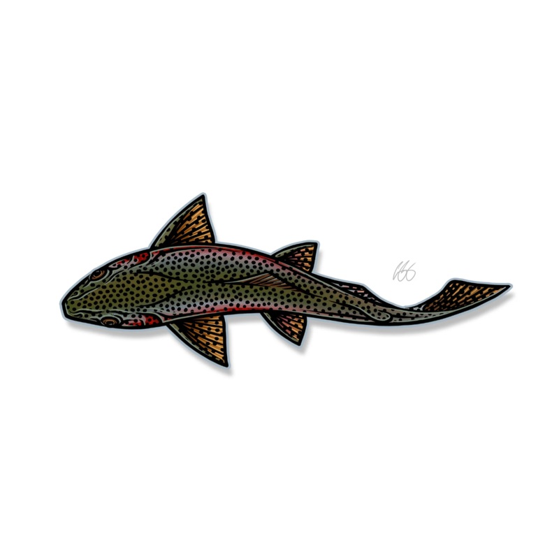 Casey Underwood Swimming Rainbow Decal Sticker