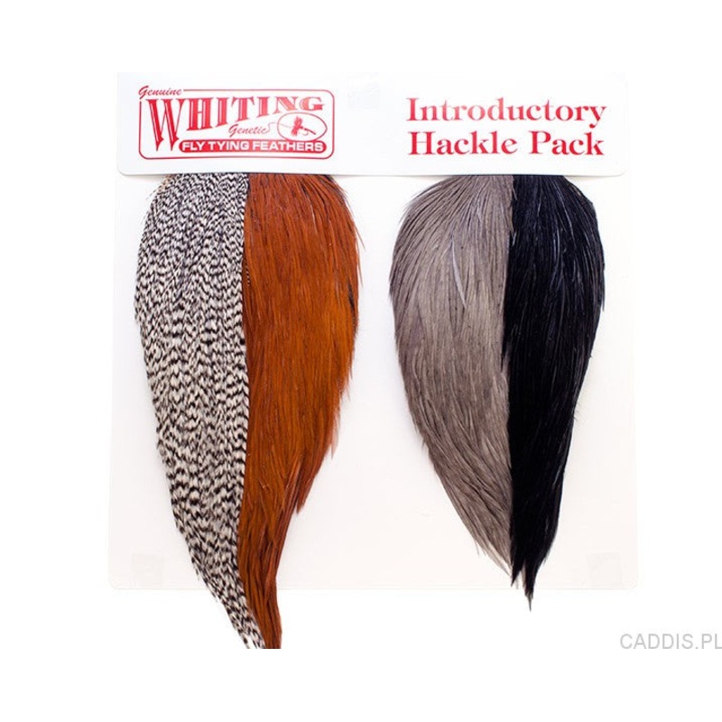 Whiting Farms Introductory Hackle Pack
