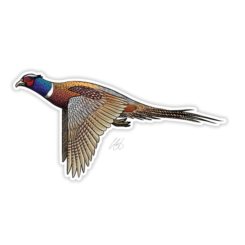 Casey Underwood Ringneck Pheasant Decal Sticker