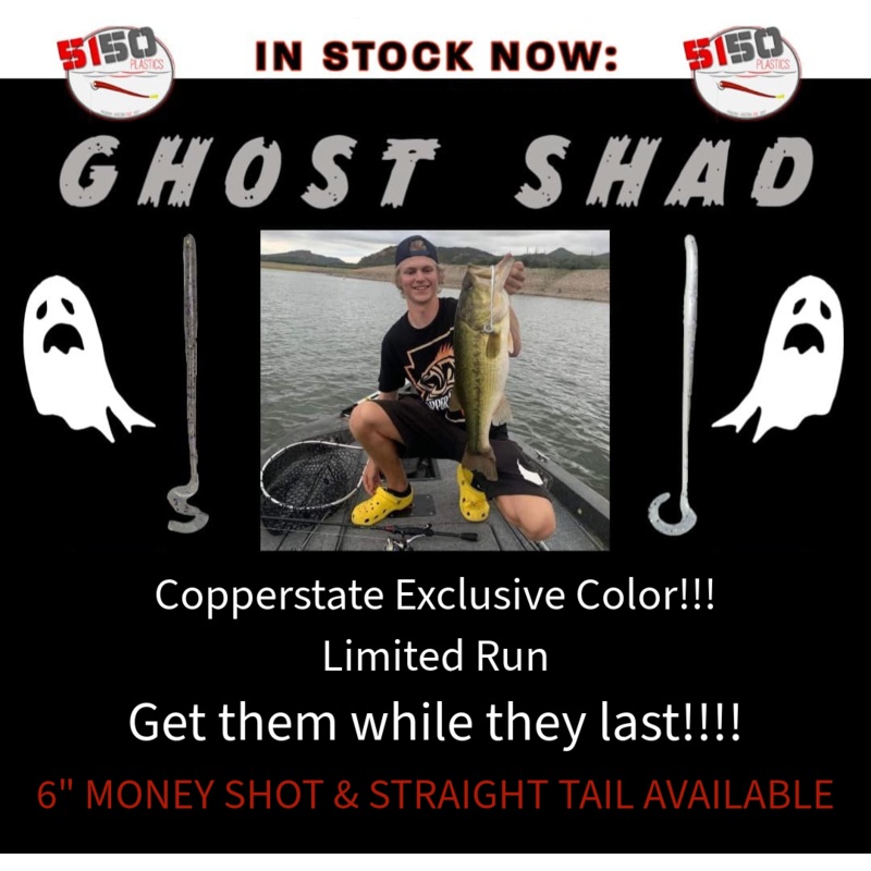 5150 – GHOST SHAD WORM Ghost Shad – 4″ Money Shot