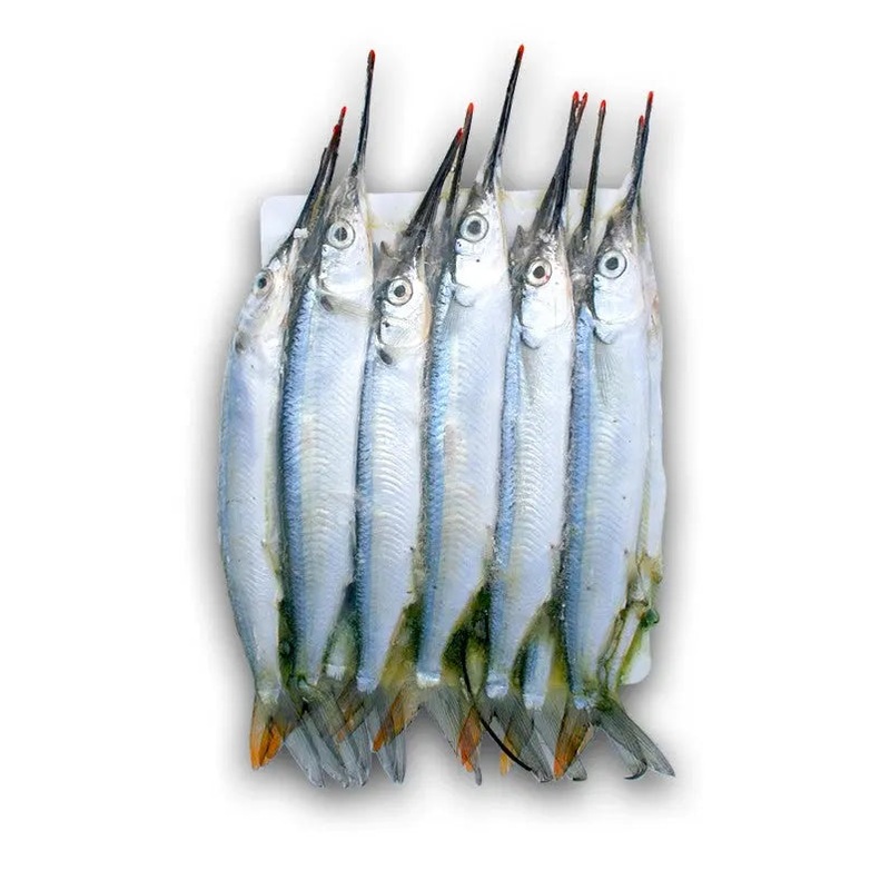BIONIC BAIT FROZEN UNRIGGED SMALL BLACK LABEL BALLYHOO 12 PACK