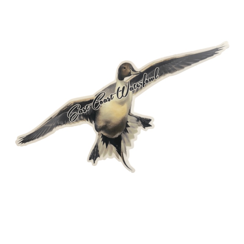 Flying Pintail Decal | East Coast Waterfowl