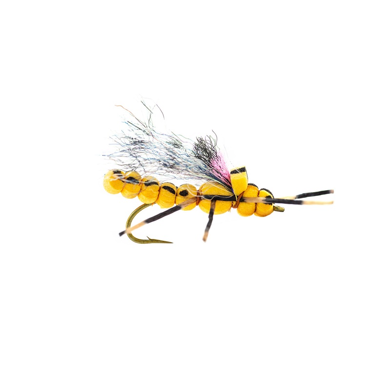 Umpqua Morningwood Stone – Golden (3-Pack) 10 Golden