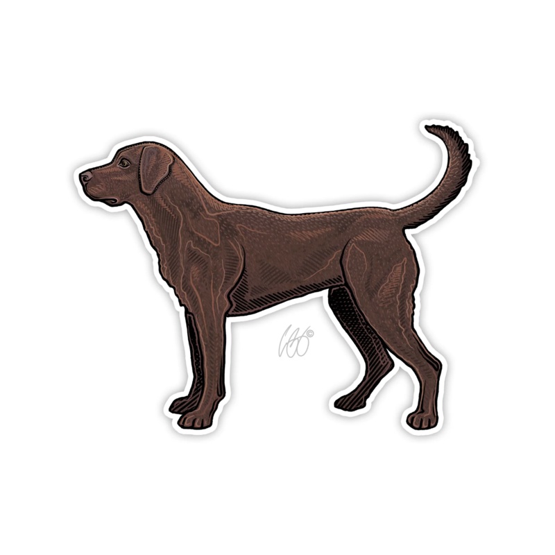 Casey Underwood Choclate Lab Decal Sticker
