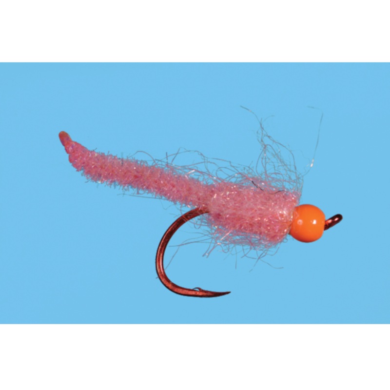 Solitude Egg Larva Fly 2