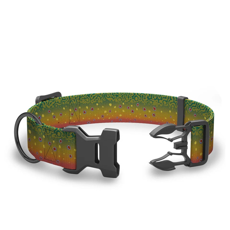 Wingo – Coosa Dog Collar – Brook Trout 2022 – Medium
