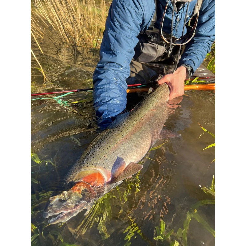 Oregon North Coast Winter Steelhead Adventure  Guided Float Trip  Full Day 1 Angler