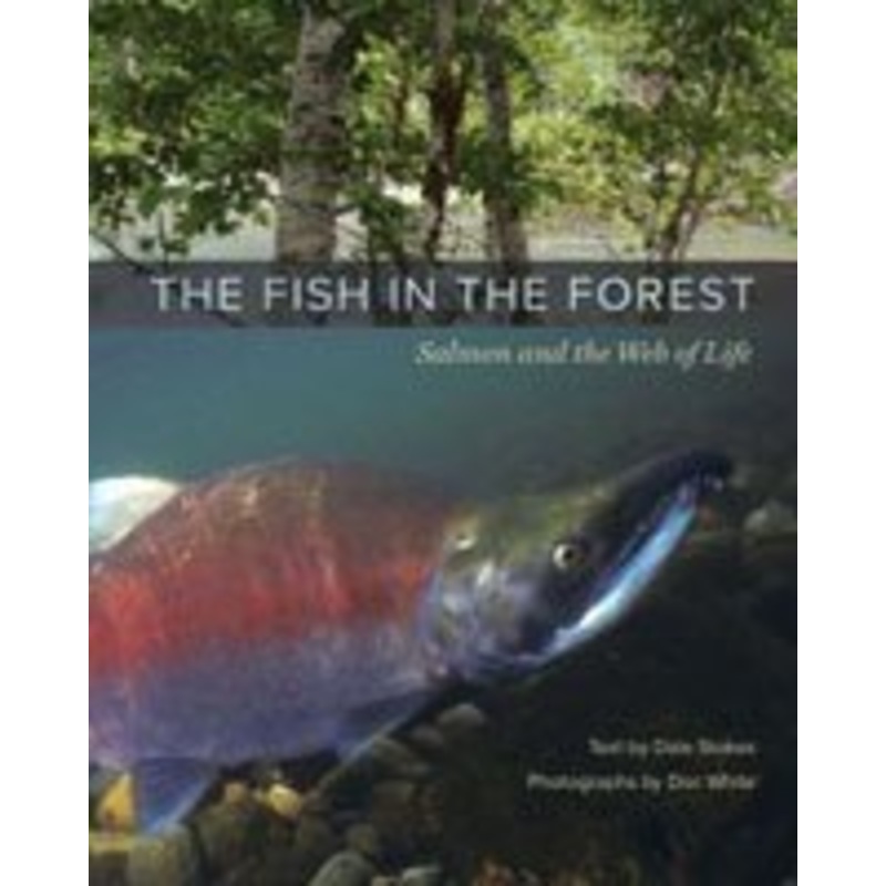 THE FISH IN THE FOREST: SALMON AND THE WEB OF LIFE – Dale Stokes (Hardcover)