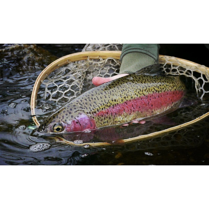 Lower Deschutes River | Guided Float Trip – Full Day 1 Angler