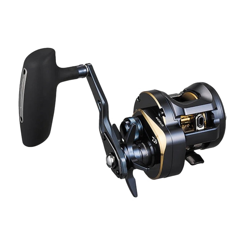 Saltiga 300 Right Hand / 6.3:1