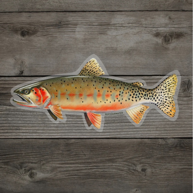 Rep Your Water – Cuttie Sticker