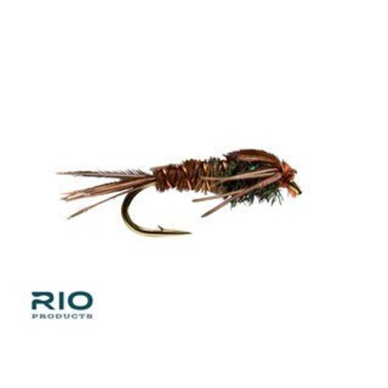 RIO Flies Pheasant Tail (12 Pack) 14