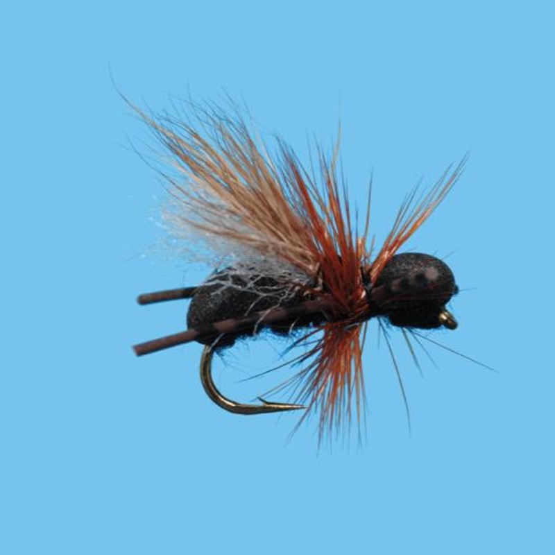 Solitude CFO Ant Black 12