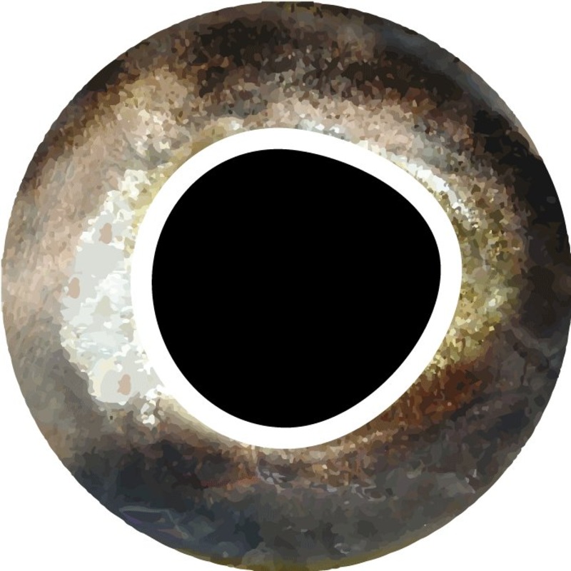 Pro Sportfisher Cool Eyes 3 mm Brown