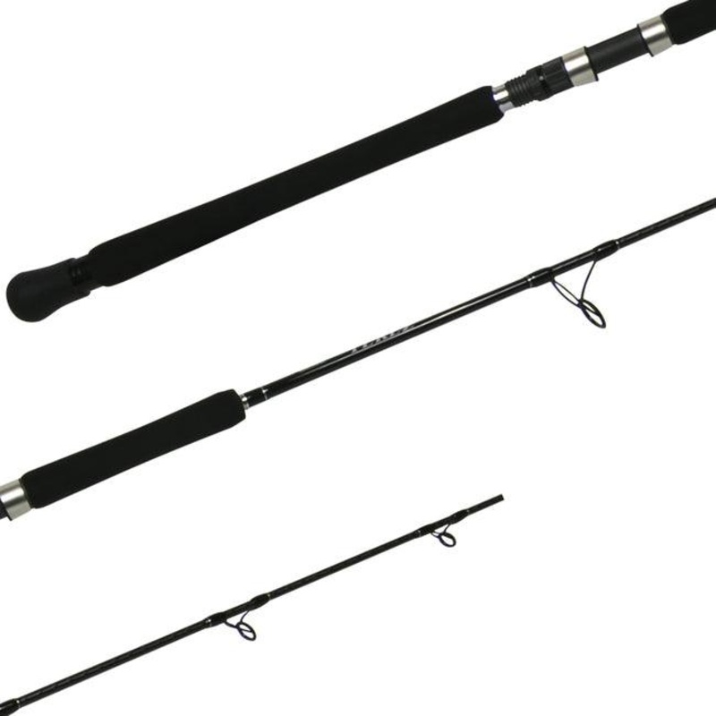 Shimano Terez Casting Rods TZC66H