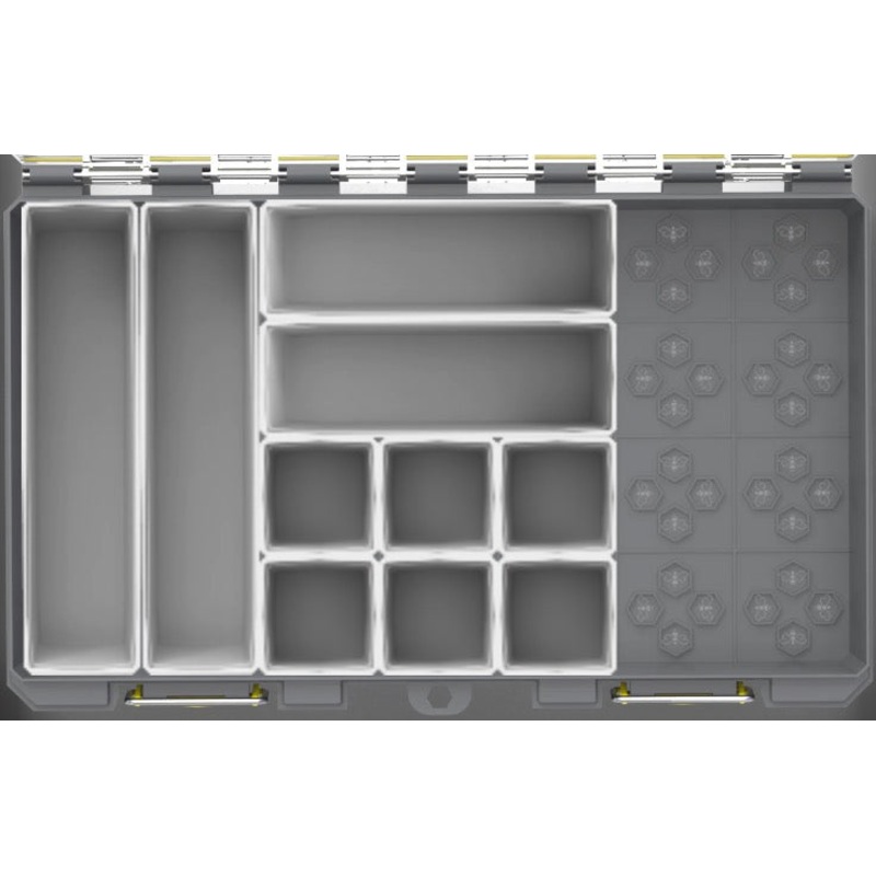 Customized Box – Colony 28D – 821444b7-51f1-47b3-ae84-4e28c3bb9cdb