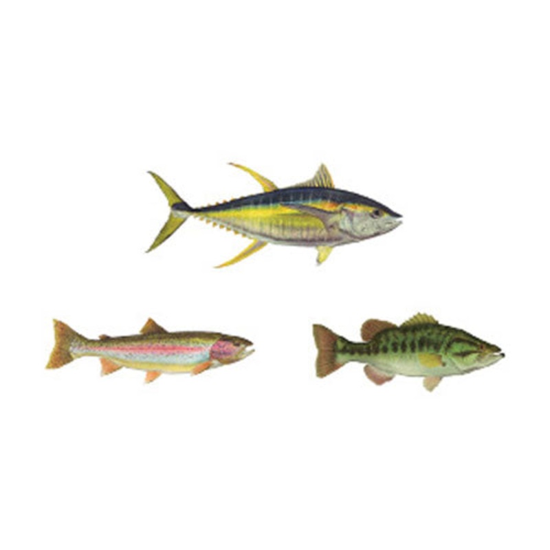 Gamefish Rod Decals Action Largemouth Bass