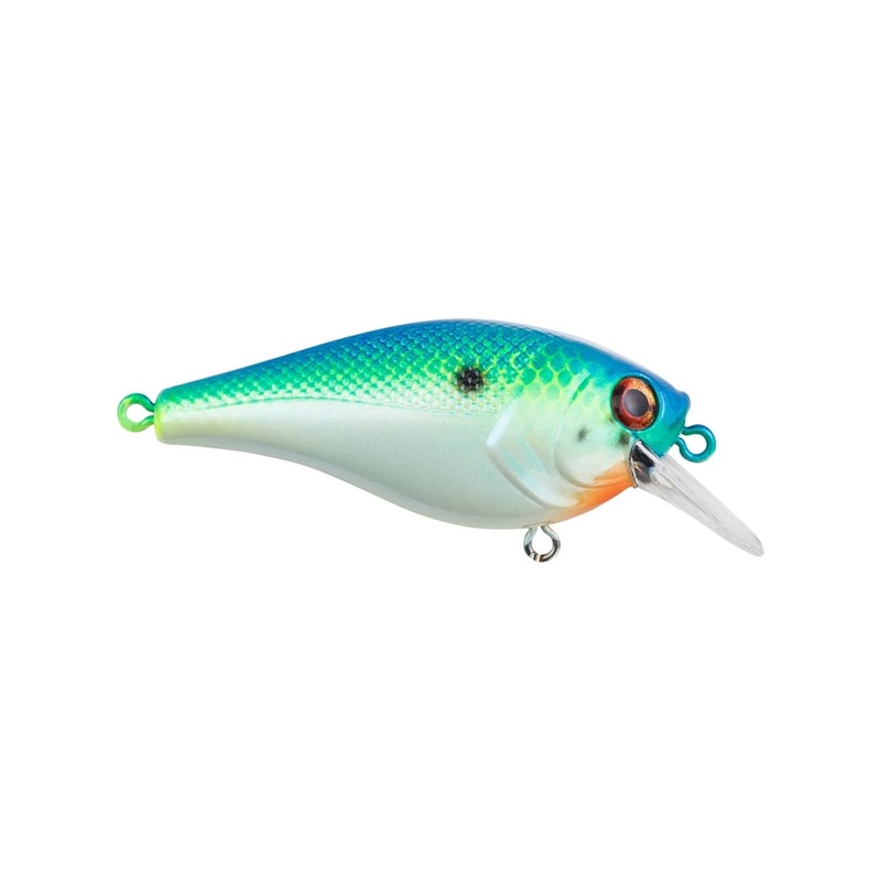 Berkley Squarebull Crankbait Squarebull 3.5 (2″ – 1/4oz – 2-5ft) Big Money