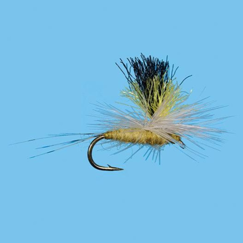 Solitude Double Vision PMD 16