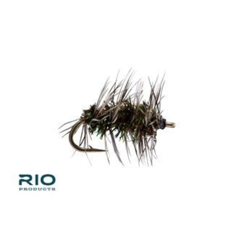 RIO Flies Griffith’s Gnat (12 Pack) 16