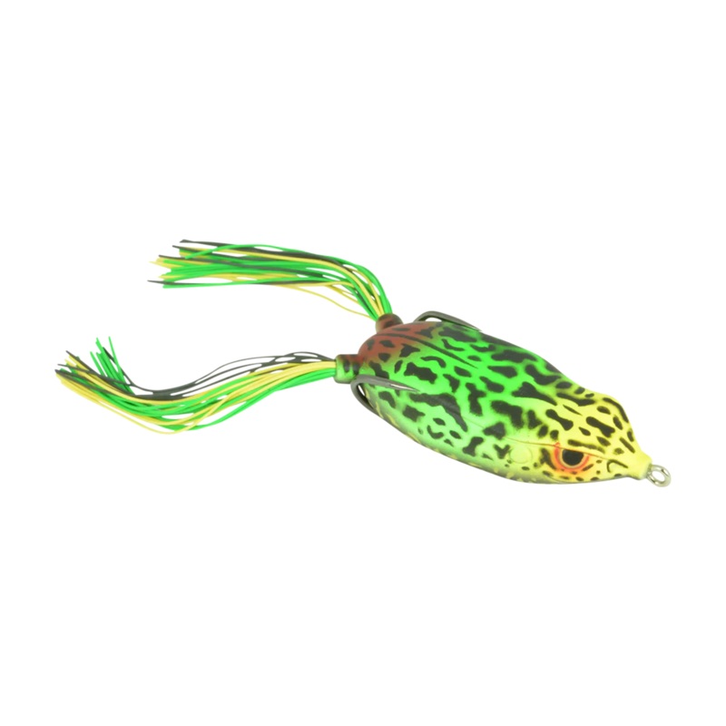 Bronzeye Frog 65 Albino