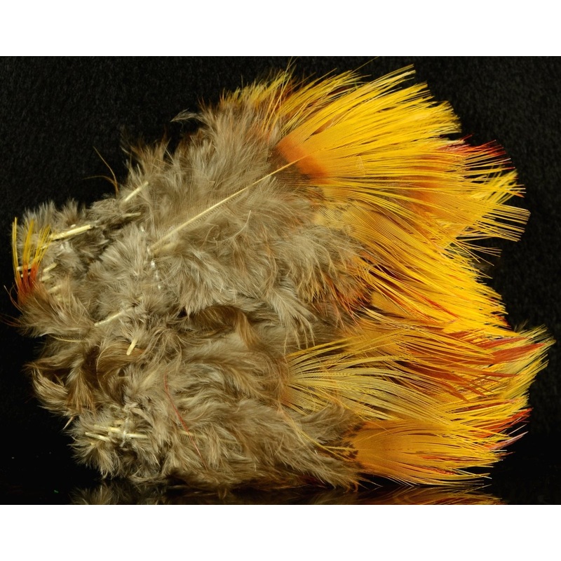 Golden Pheasant Body Feathers Black