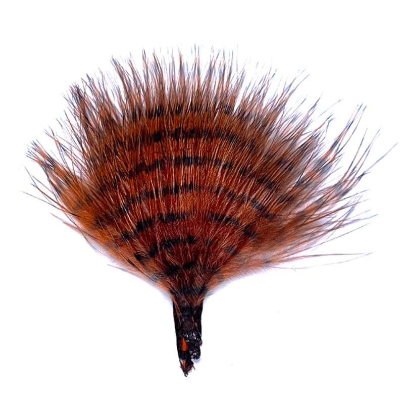 Mini Barred Buggerbou Brown/Barred Black
