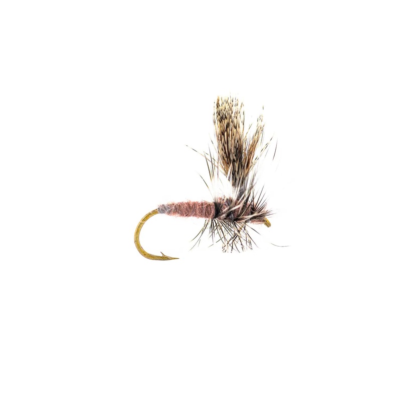 Montana Fly Company Thorax Callibaetis – Callibaetis (3-Pack) 14