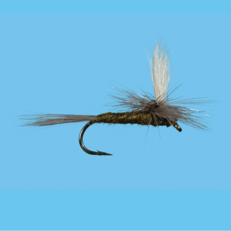 Solitude Parachute BWO 16