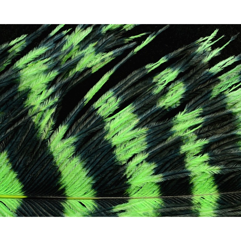 Spirit River Ostrich Jailhouse Chartreuse / Black