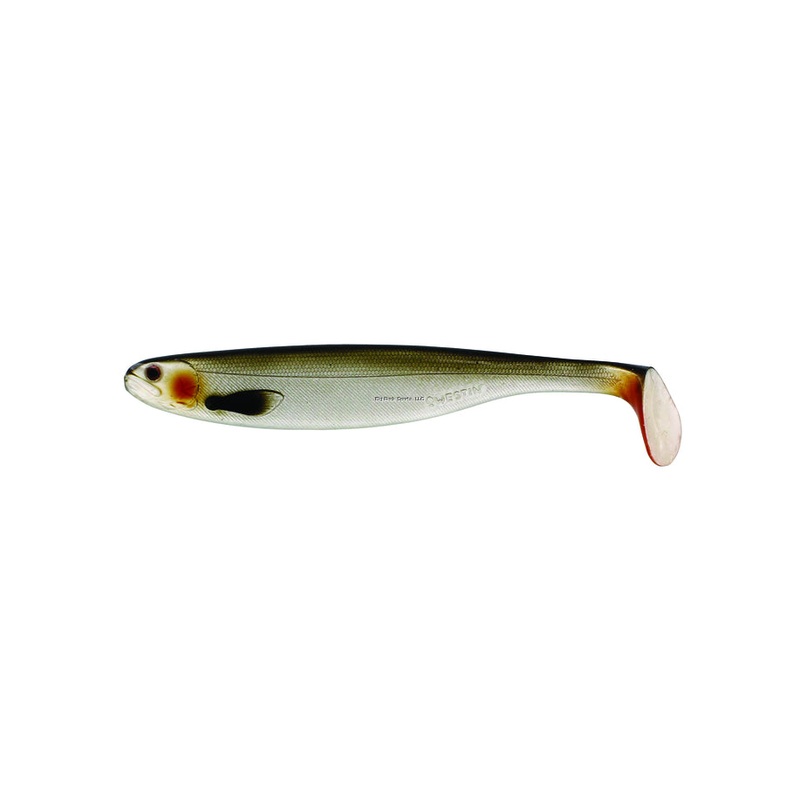 Westin ShadTeez Paddle Tail Swimbait, 8-5/8″, 2.25oz, Lively Roach