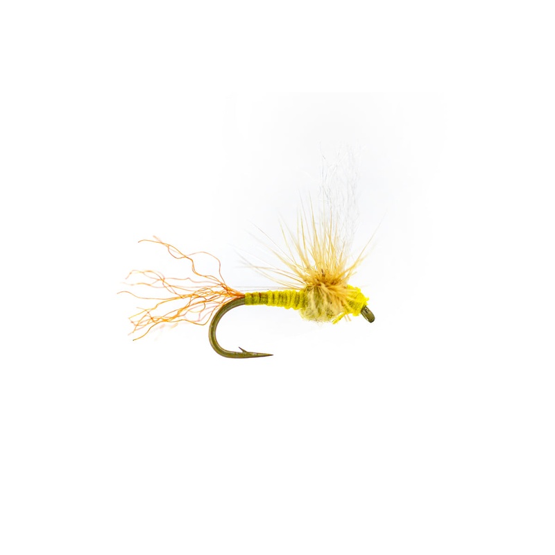 Rio’s Sparkle Flag – PMD (3-Pack) 16