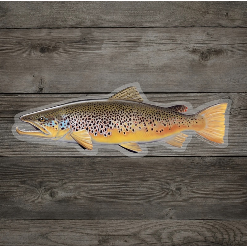 Rep Your Water – Brown Trout Sticker