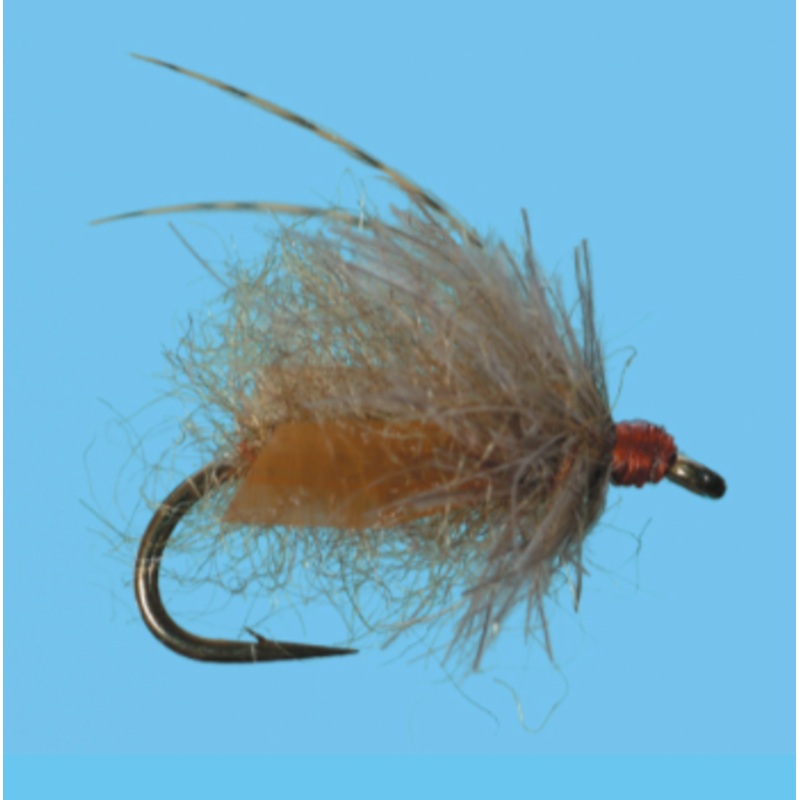 Solitude Translucent Pupa Brown 16