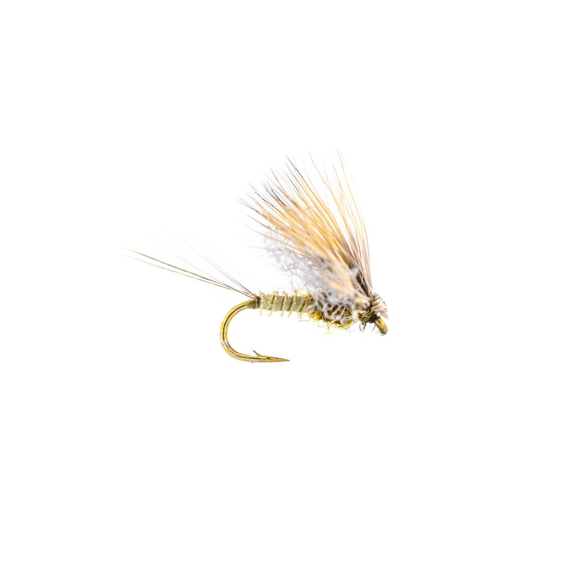 Montana Fly Company Galloup’s Found Link -BWO (3-Pack) 18