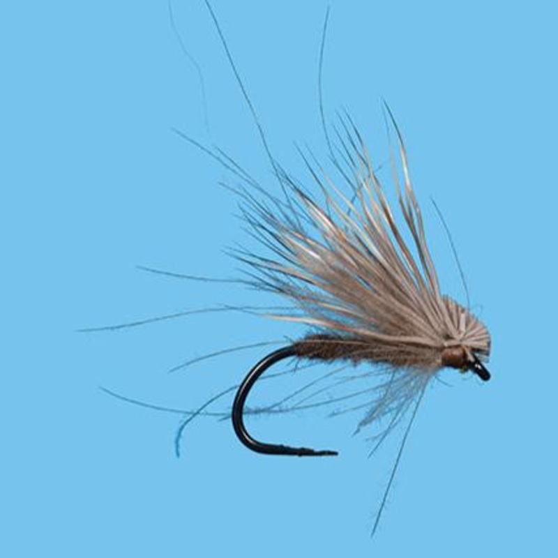 Solitude CDC & Elk 14