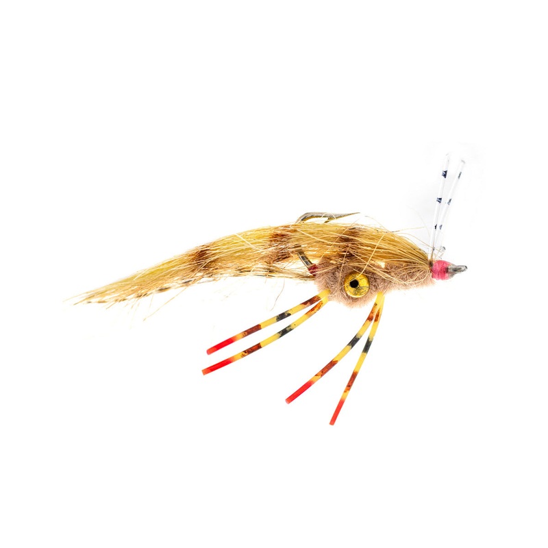 Rainy’s Suga Daddie (3-Pack) 6