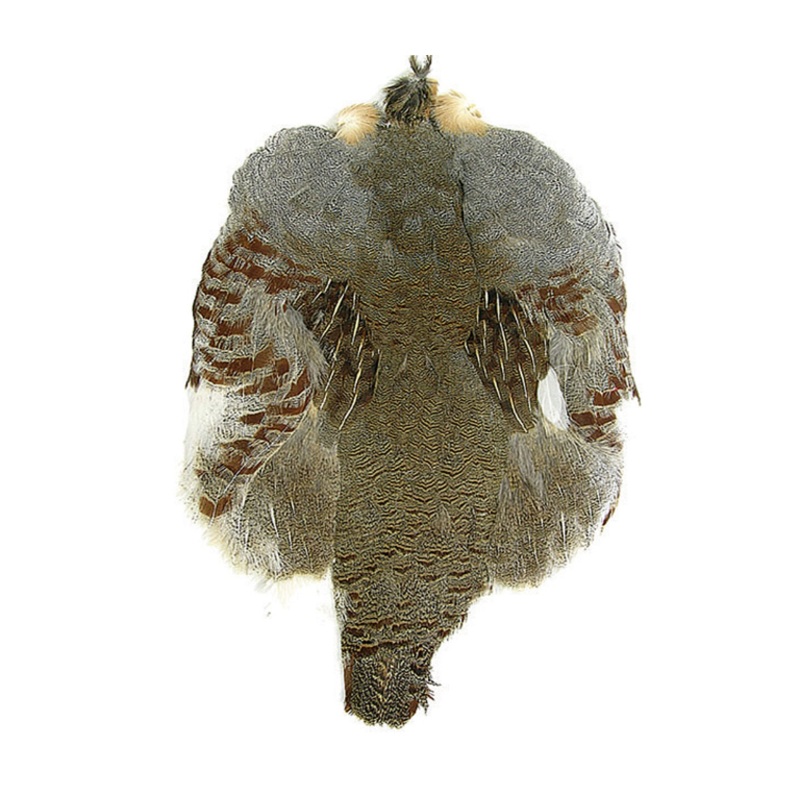 Wapsi Hungarian Partridge Whole Skin
