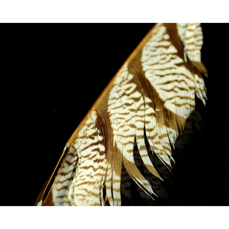 Nature’s Spirit Lady Amherst Center Tail Piece Black