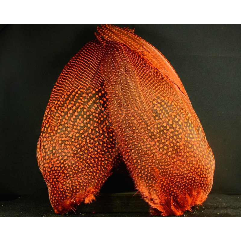 Whiting Farms Guinea Fowl – Paired Wings Red