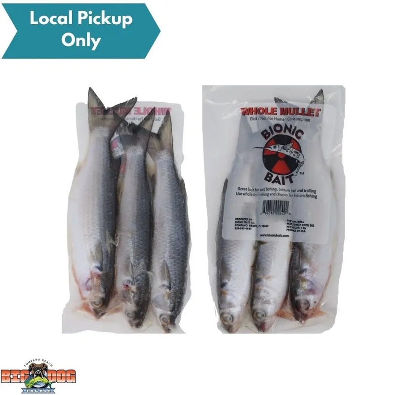 BIONIC BAIT FROZEN WHOLE MULLET 1LB